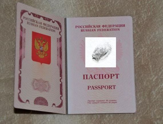 прописка в Грязовце